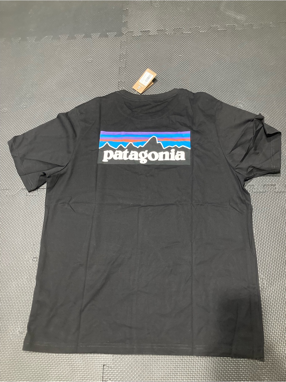 Patagonia P-6 logo short sleeve shirt